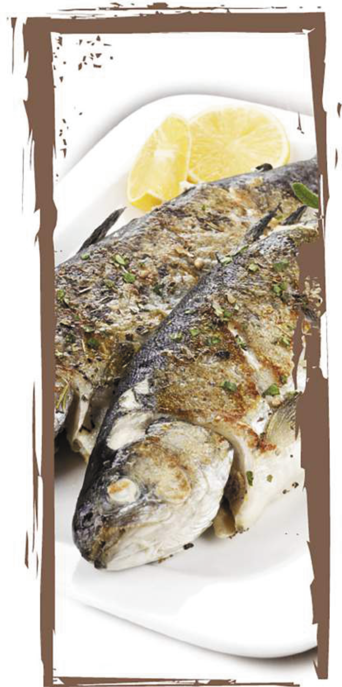 Fisch – Frellerhof